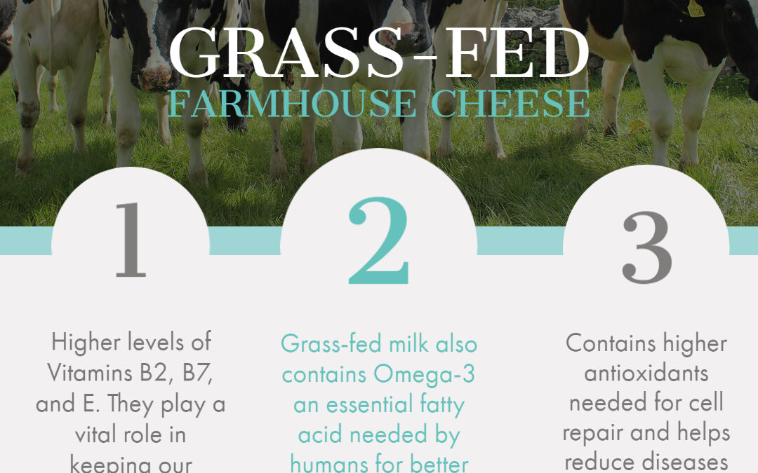 Do we need Grass-Fed Dairy Products in our diet?
