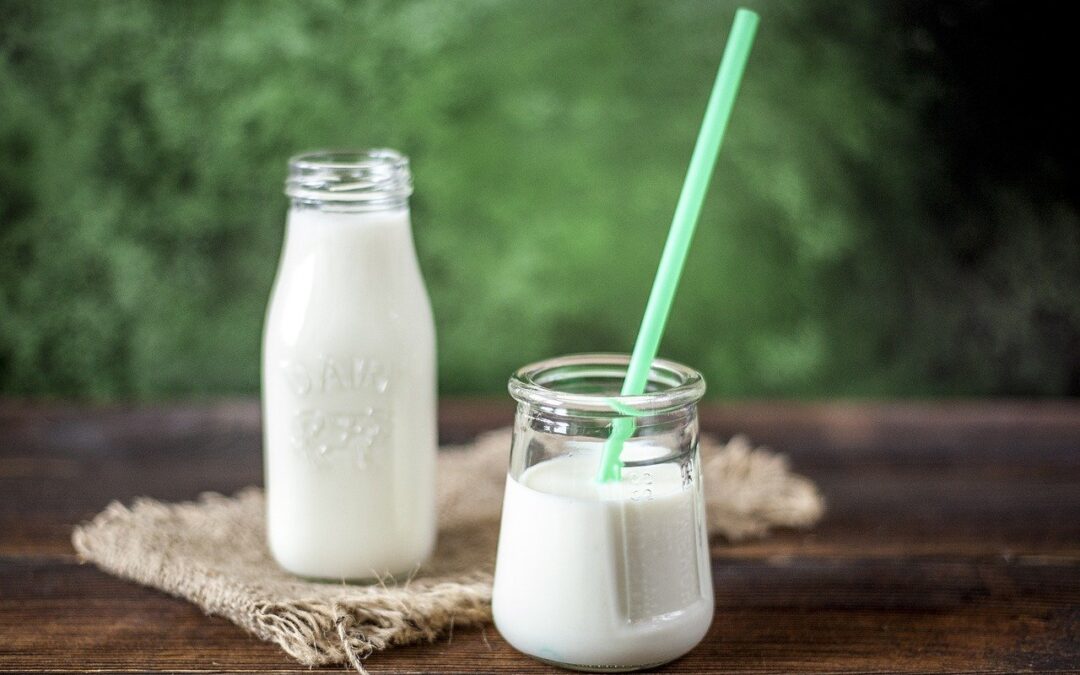 The Importance Of Dairy In Our Diet